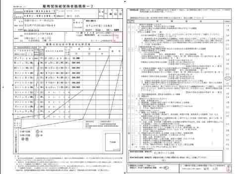 わかりやすい高年齢求職者給付金 ６５歳以上の失業保険 知らないと損する雇用保険 失業保険