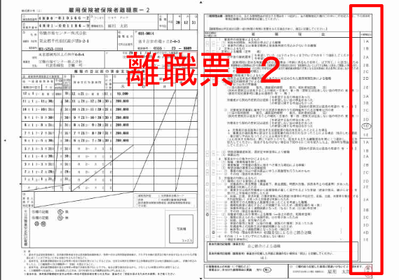 離職票2で離職コードを確認