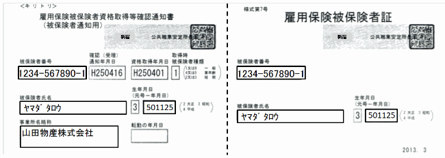 雇用 保険 証 と は